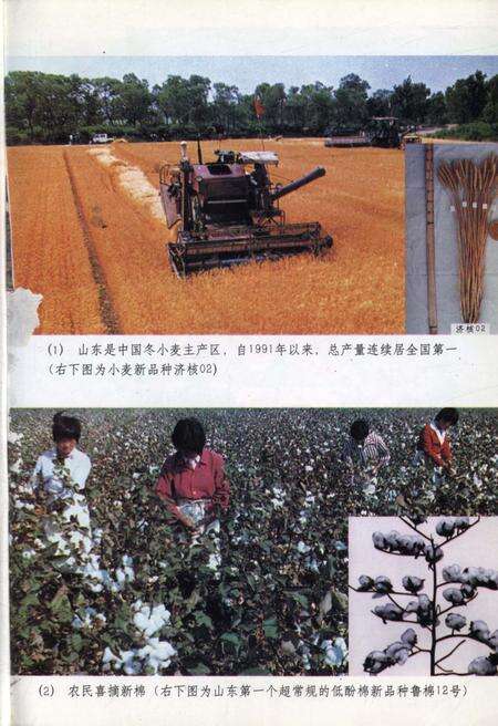 《中国新时期农村的变革 山东卷》.pdf_山东省志预览图5