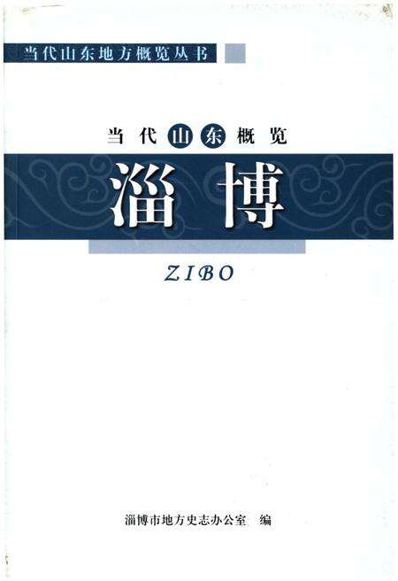 《当代山东概览淄博》.pdf_山东省志缩略图
