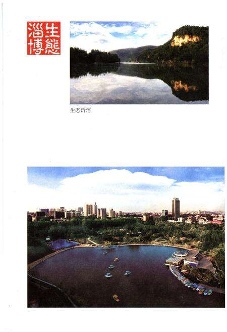 《当代山东概览淄博》.pdf_山东省志预览图5