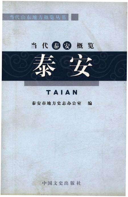 《当代泰安概览 泰安》.pdf_山东省志缩略图