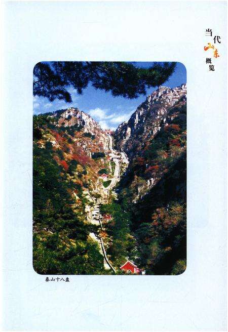 《当代山东概览》.pdf_山东省志预览图5