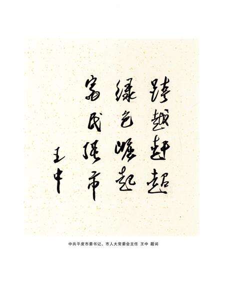 《山东省平度经济开发区志》.pdf_山东省志预览图3