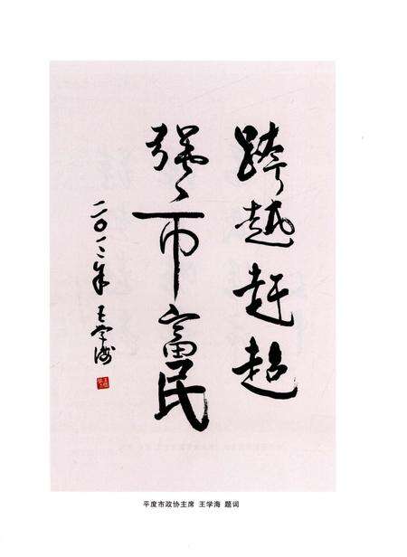 《山东省平度经济开发区志》.pdf_山东省志预览图4