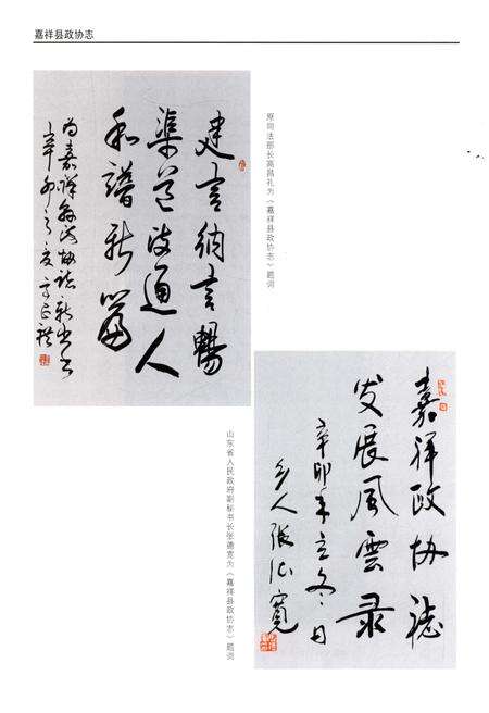 《嘉祥县政协志》.pdf_山东省志预览图5