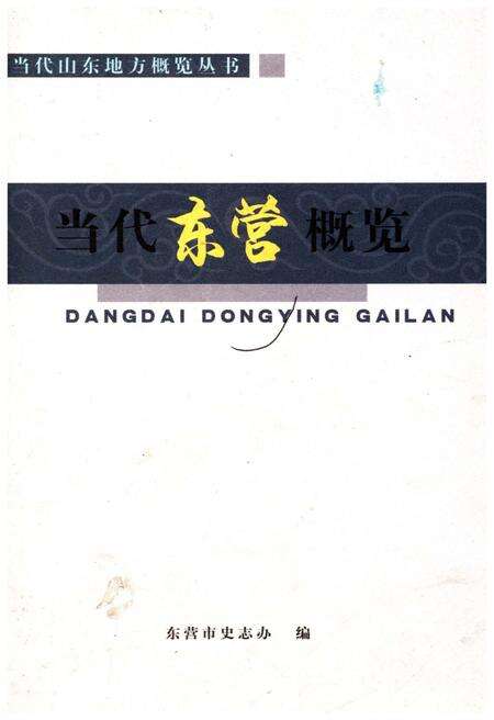 《当代东营概览》.pdf_山东省志缩略图