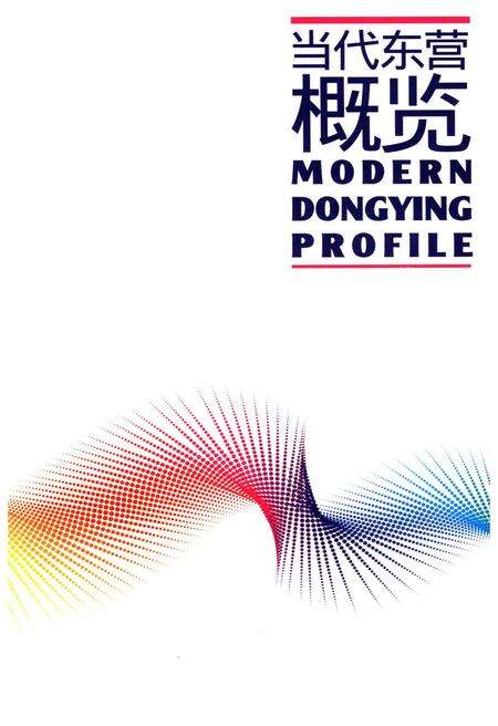 《当代东营概览》.pdf_山东省志预览图1