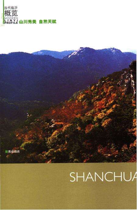 《当代临沂概览》.pdf_山东省志预览图4