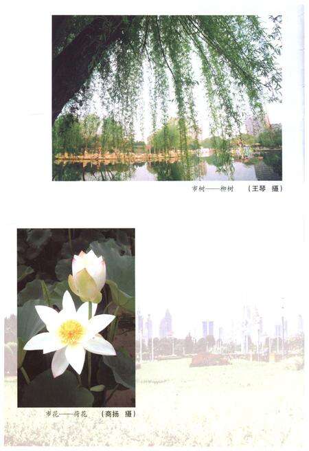 《当代济南概览》.pdf_山东省志预览图4