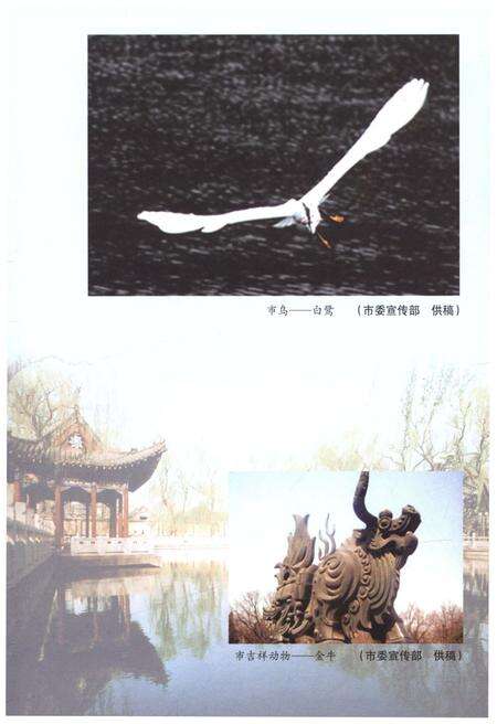 《当代济南概览》.pdf_山东省志预览图5
