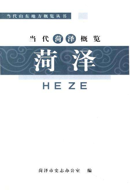 《当代菏泽概览》.pdf_山东省志缩略图