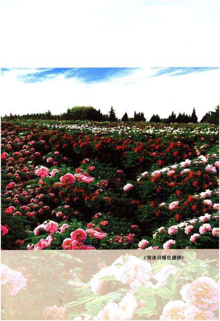 《当代菏泽概览》.pdf_山东省志预览图4