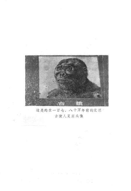 《济南市房地产志资料(第二辑)》.pdf_山东省志预览图4