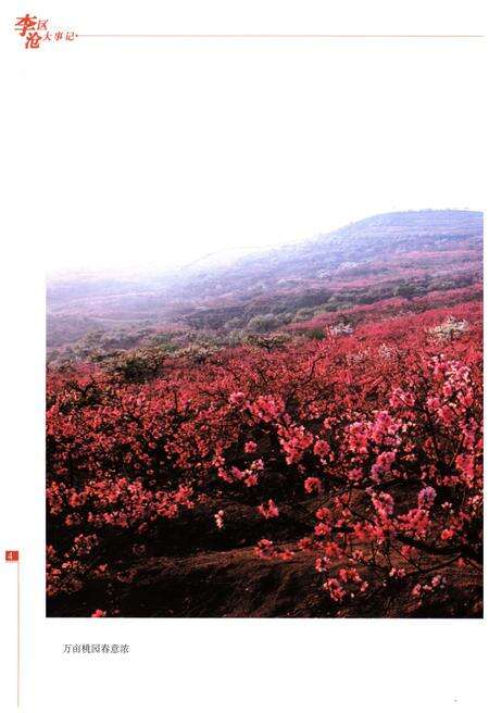 《青岛市李沧区大事记1368-2002》.pdf_山东省志预览图5