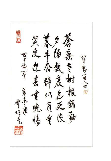 《山东传统舞蹈志 下卷》.pdf_山东省志预览图5