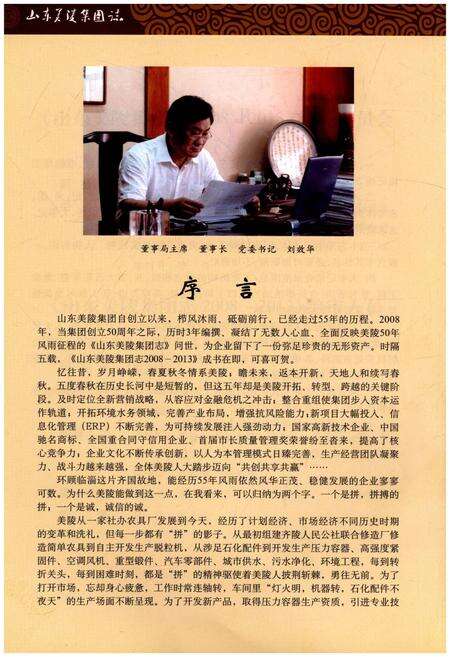 《山东美陵集团志 2008-2013》.pdf_山东省志预览图4