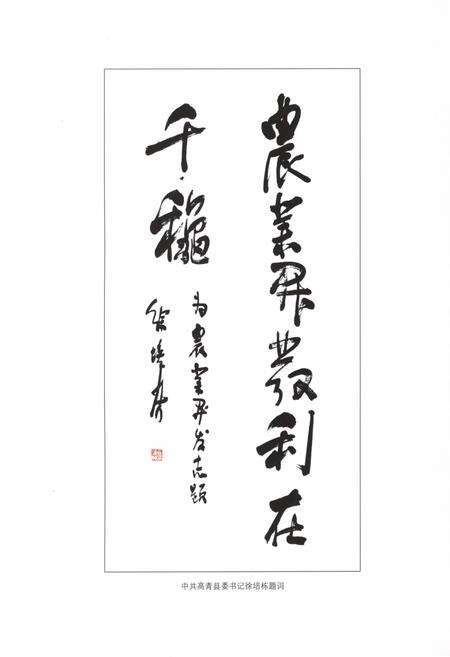 《高青农业综合开发志》.pdf_山东省志预览图4