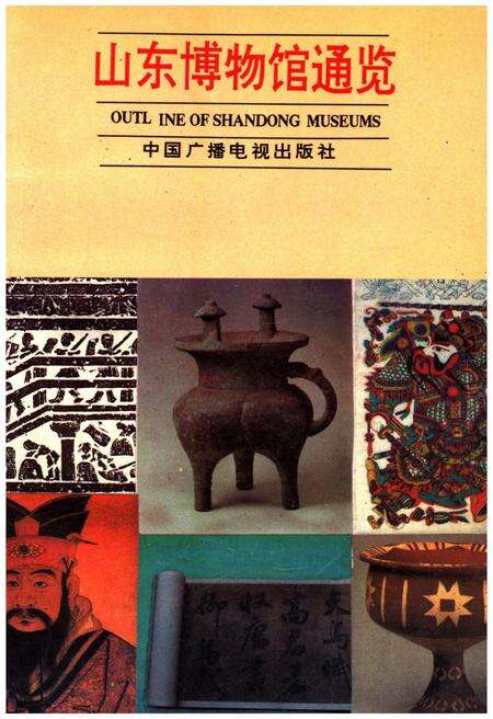 《山东博物馆通览》.pdf_山东省志缩略图