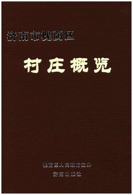 《济南市槐荫区 村庄概览》.pdf_山东省志缩略图