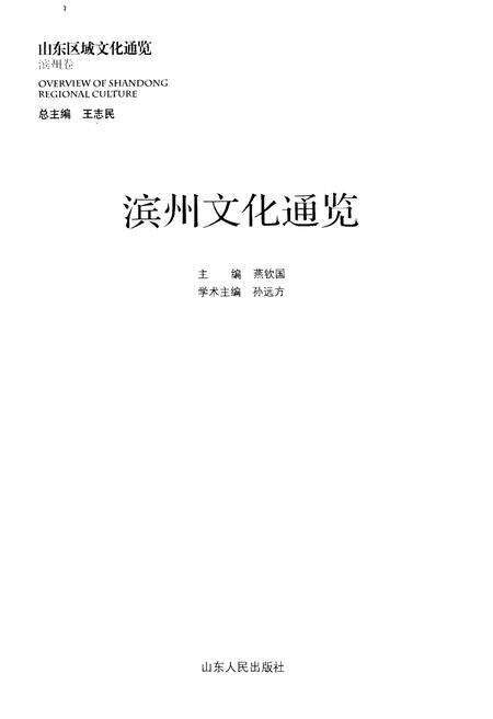 《山东区域文化通览 滨州文化通览》.pdf_山东省志预览图1