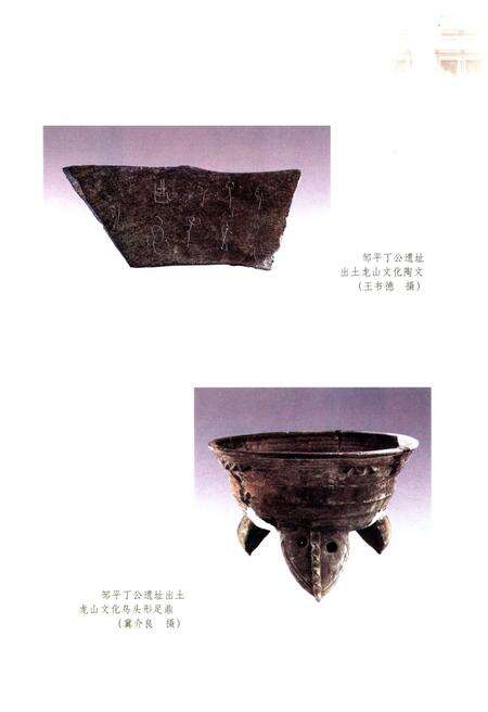 《山东区域文化通览 滨州文化通览》.pdf_山东省志预览图4