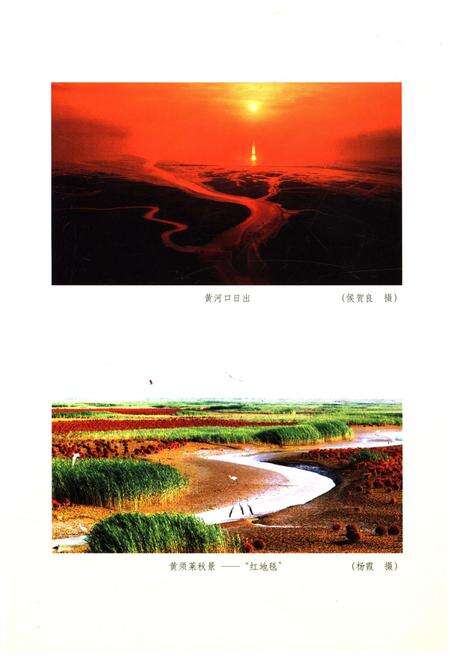 《山东区域文化通览 东营文化通览》.pdf_山东省志预览图3