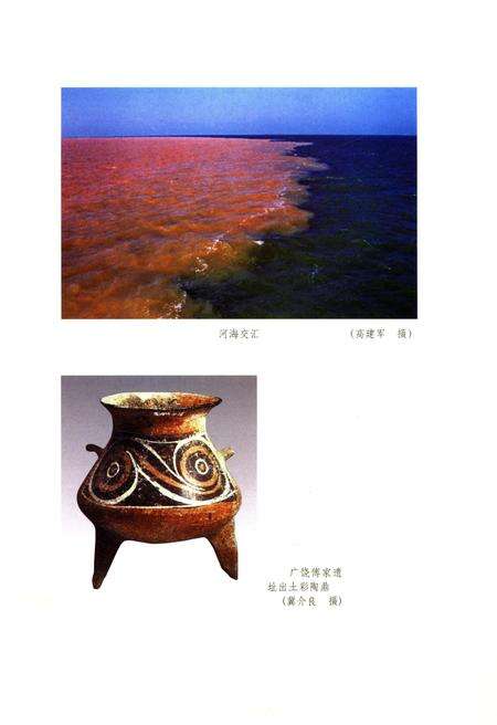 《山东区域文化通览 东营文化通览》.pdf_山东省志预览图4