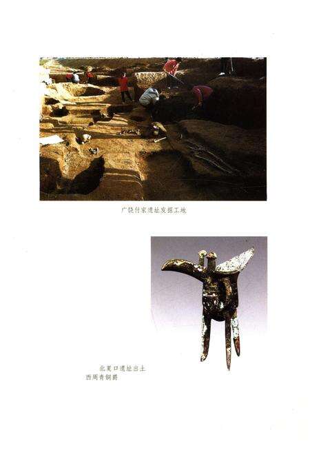 《山东区域文化通览 东营文化通览》.pdf_山东省志预览图5
