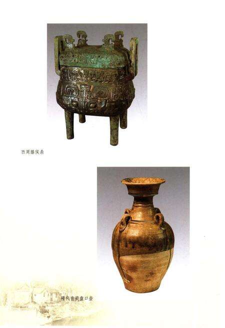 《山东区域文化通览 枣庄文化通览》.pdf_山东省志预览图5