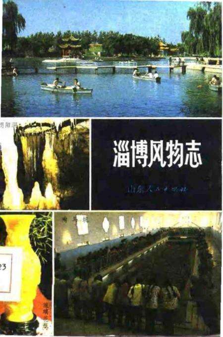 《淄博风物志》.pdf_山东省志缩略图