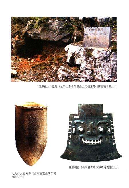 《山东地方史文库 第二辑 山东移民史》.pdf_山东省志预览图4