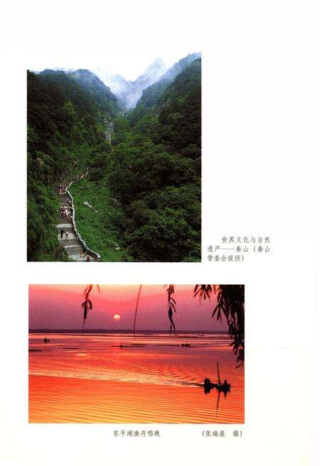《泰安文化通览》.pdf_山东省志预览图4