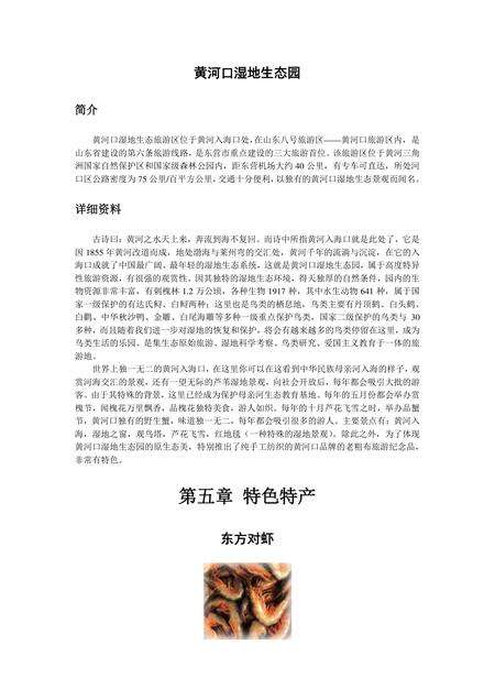 《山东黄河水城：东营（上）》.pdf_山东省志预览图4