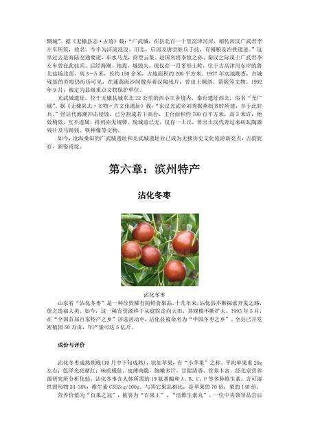 《山东家纺之都：滨州》.pdf_山东省志预览图5