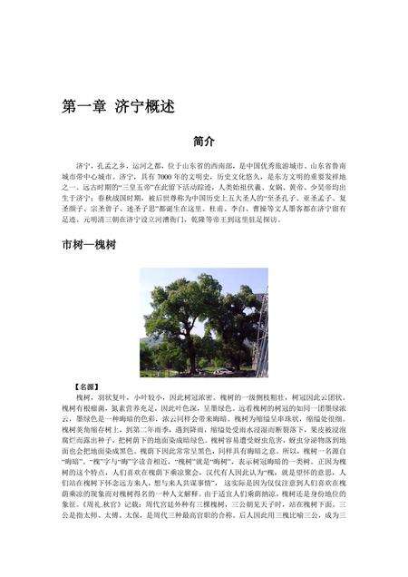 《山东孔孟之乡：济宁（上）》.pdf_山东省志缩略图