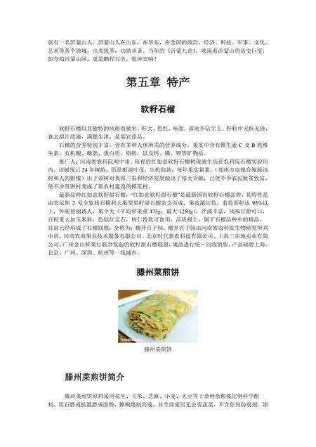 《山东鲁南明珠：枣庄（上）》.pdf_山东省志预览图4