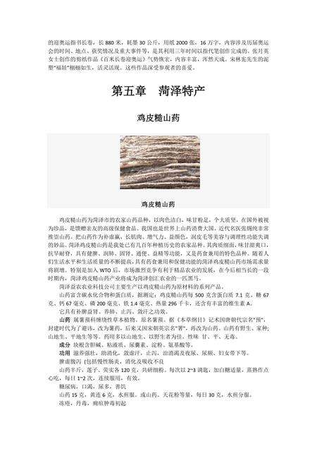 《山东牡丹之乡：菏泽（上）》.pdf_山东省志预览图4