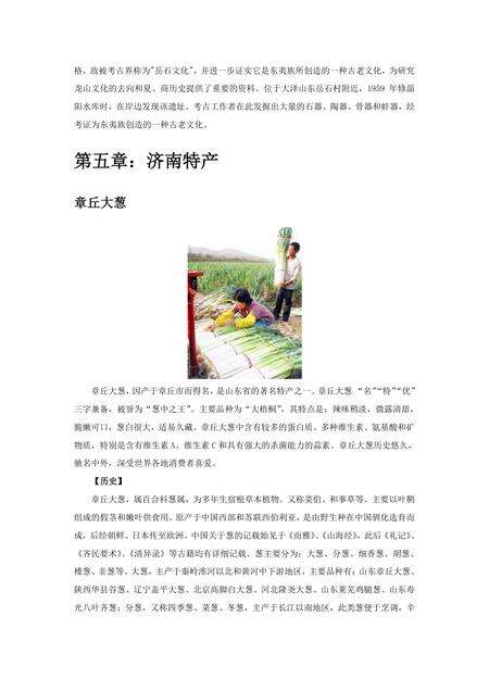 《山东泉城：济南（二）》.pdf_山东省志预览图1