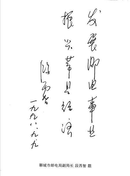 《莘县邮电志》.pdf_山东省志预览图4