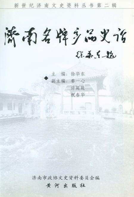 《新世纪济南文史资料丛书第二辑 济南名牌产品史话》.pdf_山东省志预览图2