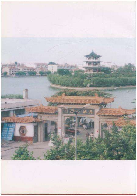 《莱西统计志》.pdf_山东省志预览图2