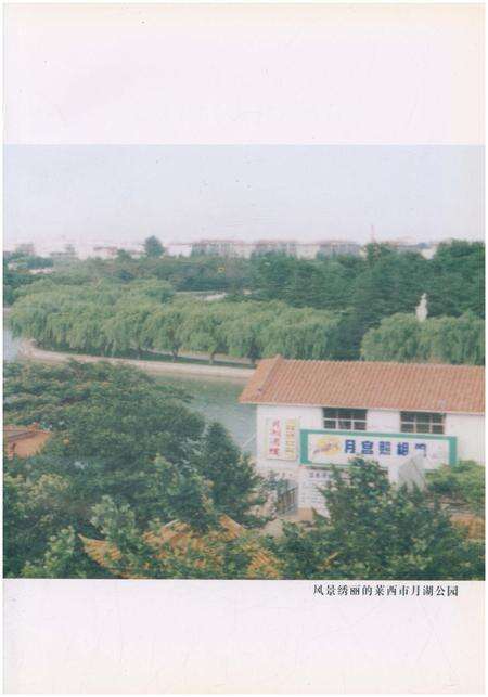 《莱西统计志》.pdf_山东省志预览图3