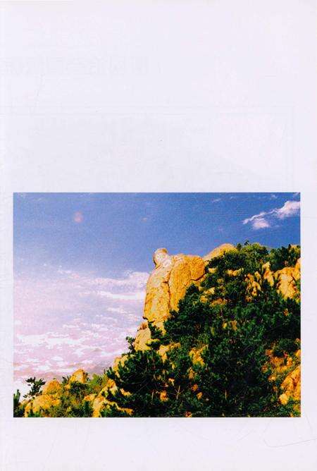 《惜福镇街道志》.pdf_山东省志预览图2