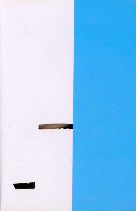 《沂南方言志》.pdf_山东省志预览图1