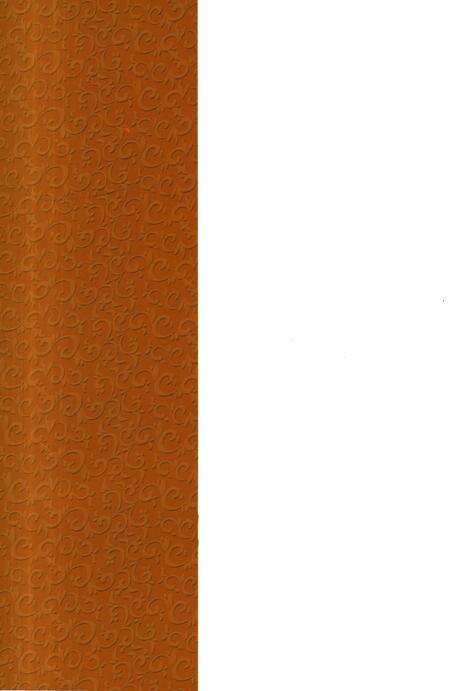 《聊城市食品药品监督管理志（1999-2011）》.pdf_山东省志预览图1