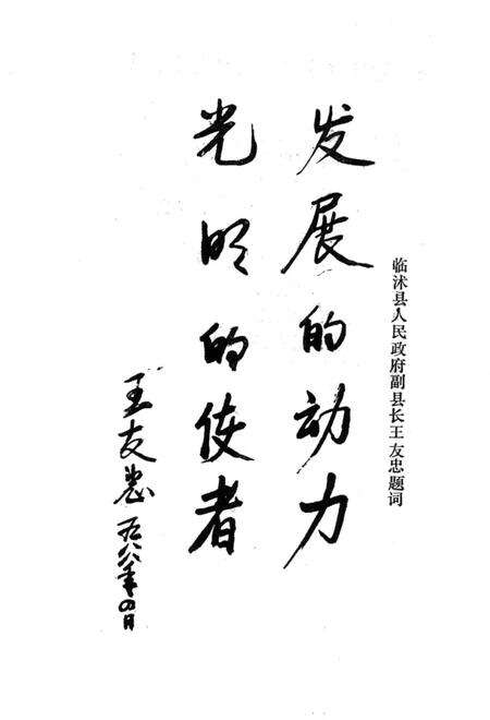 《临沭县电业志》.pdf_山东省志预览图3