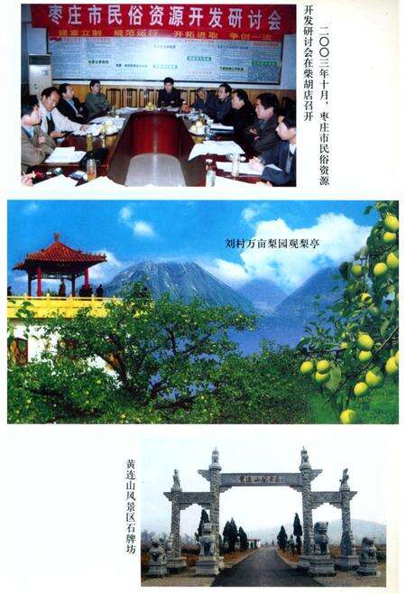 《柴胡店民俗志》.pdf_山东省志预览图4