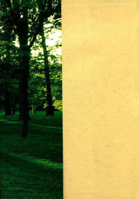 《商河县林业志》.pdf_山东省志预览图1