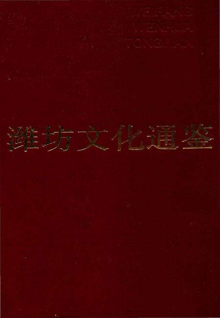 《潍坊文化通鉴》.pdf_山东省志缩略图