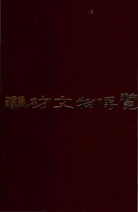 《潍坊文物览》.pdf_山东省志缩略图