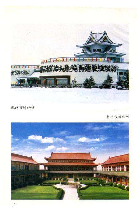 《潍坊文物览》.pdf_山东省志预览图5